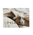 あいまりすたんぷ（個別スタンプ：8）