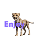 チーター E（個別スタンプ：16）