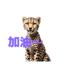 チーター C（個別スタンプ：14）