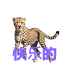 チーター C（個別スタンプ：22）