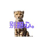 チーター C（個別スタンプ：30）