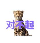 チーター C（個別スタンプ：33）
