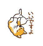 人間味あふれる柴犬スタンプ（個別スタンプ：2）