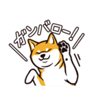 人間味あふれる柴犬スタンプ（個別スタンプ：5）