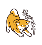 人間味あふれる柴犬スタンプ（個別スタンプ：7）