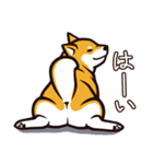 人間味あふれる柴犬スタンプ（個別スタンプ：8）