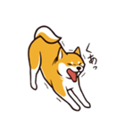 人間味あふれる柴犬スタンプ（個別スタンプ：9）