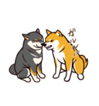 人間味あふれる柴犬スタンプ（個別スタンプ：11）