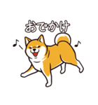 人間味あふれる柴犬スタンプ（個別スタンプ：13）