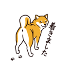 人間味あふれる柴犬スタンプ（個別スタンプ：15）