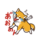 人間味あふれる柴犬スタンプ（個別スタンプ：16）