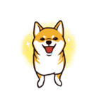 人間味あふれる柴犬スタンプ（個別スタンプ：21）