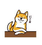 人間味あふれる柴犬スタンプ（個別スタンプ：23）