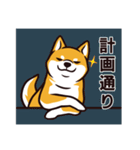 人間味あふれる柴犬スタンプ（個別スタンプ：24）