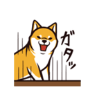 人間味あふれる柴犬スタンプ（個別スタンプ：25）