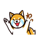 人間味あふれる柴犬スタンプ（個別スタンプ：26）