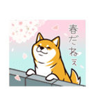 人間味あふれる柴犬スタンプ（個別スタンプ：27）