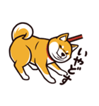人間味あふれる柴犬スタンプ（個別スタンプ：33）