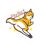 人間味あふれる柴犬スタンプ（個別スタンプ：36）