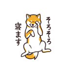 人間味あふれる柴犬スタンプ（個別スタンプ：38）