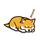 人間味あふれる柴犬スタンプ（個別スタンプ：39）