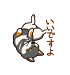 人間味あふれる黒柴スタンプ（個別スタンプ：2）