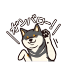 人間味あふれる黒柴スタンプ（個別スタンプ：5）