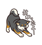 人間味あふれる黒柴スタンプ（個別スタンプ：7）