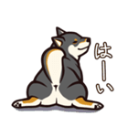 人間味あふれる黒柴スタンプ（個別スタンプ：8）