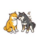 人間味あふれる黒柴スタンプ（個別スタンプ：11）