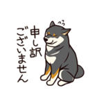 人間味あふれる黒柴スタンプ（個別スタンプ：12）