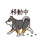 人間味あふれる黒柴スタンプ（個別スタンプ：14）