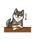 人間味あふれる黒柴スタンプ（個別スタンプ：23）