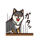 人間味あふれる黒柴スタンプ（個別スタンプ：25）
