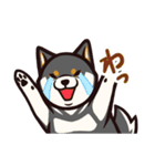 人間味あふれる黒柴スタンプ（個別スタンプ：26）