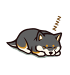 人間味あふれる黒柴スタンプ（個別スタンプ：39）