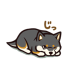 人間味あふれる黒柴スタンプ（個別スタンプ：40）