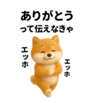 エッホエッホ 豆柴 伝えなきゃ BIG（個別スタンプ：5）