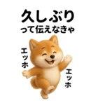 エッホエッホ 豆柴 伝えなきゃ BIG（個別スタンプ：11）