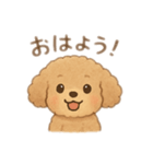 といぷーどるとの日常（個別スタンプ：1）