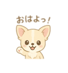 チワワワンとの日常（個別スタンプ：1）