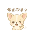 チワワワンとの日常（個別スタンプ：2）