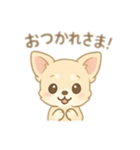チワワワンとの日常（個別スタンプ：3）