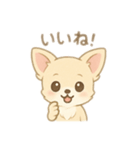 チワワワンとの日常（個別スタンプ：5）