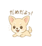 チワワワンとの日常（個別スタンプ：6）