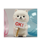 ポメラニアンカプセルトイ(四角型)（個別スタンプ：1）