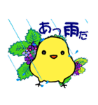 夏を楽しむキイロイトリたち（個別スタンプ：24）