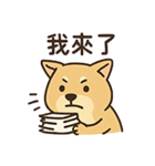 働け柴ない！（個別スタンプ：4）