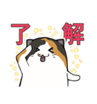 猫の日常スタンプ(毎日)（個別スタンプ：3）