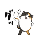 猫の日常スタンプ(毎日)（個別スタンプ：4）